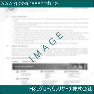 グローバルリサーチ調査資料のイメージ